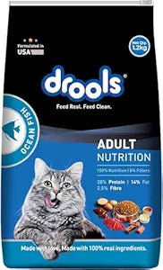 Drools cat ocean fish 1 2kg