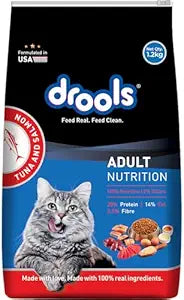 Cat Food