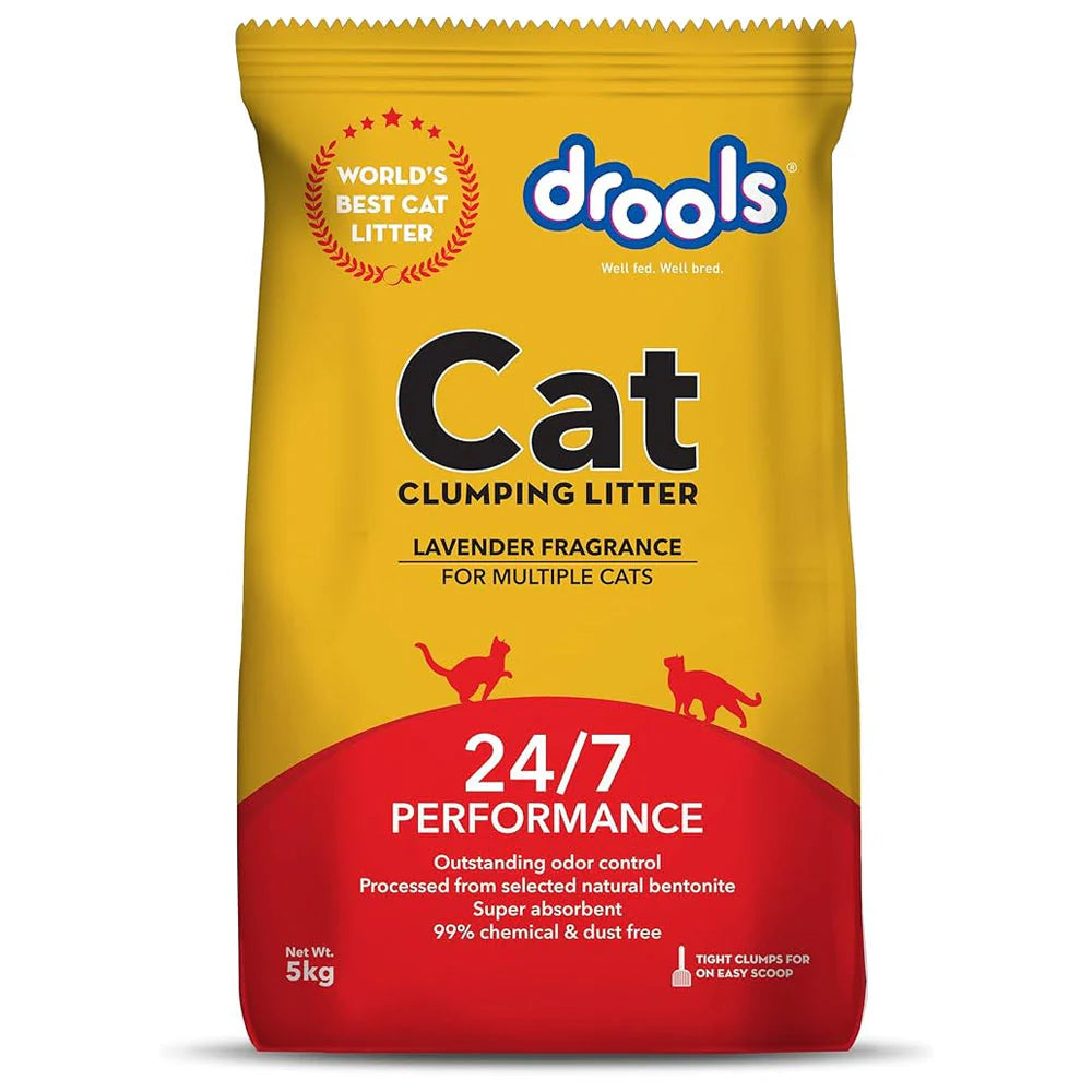 Cat Care